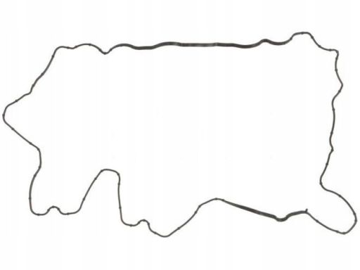 Uszczelka Pokrywy Zaworów 71-38974-00