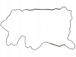 Uszczelka Pokrywy Zaworów 71-38974-00