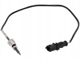 Czujnik Temperatury Spalin 172000417010