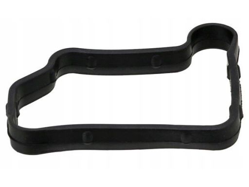 Uszczelka Pokrywy Zaworów 428.480