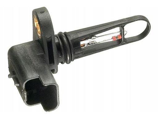 Czujnik Temperatury Powietrza Dolotowego 6Pt 009 109-321