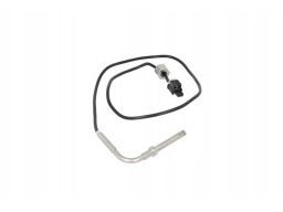 Czujnik Temperatury Spalin As3020