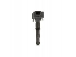 Cewka Zapłonowa 48562