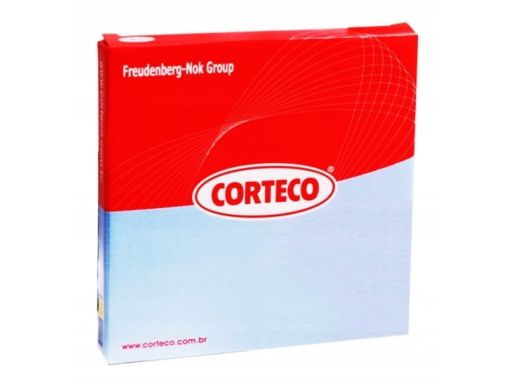 Uszczelka Pokrywy Zaworów 49379246