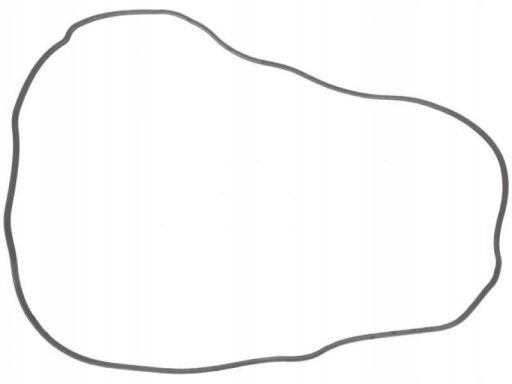 Uszczelka Pokrywy Zaworów 452.940