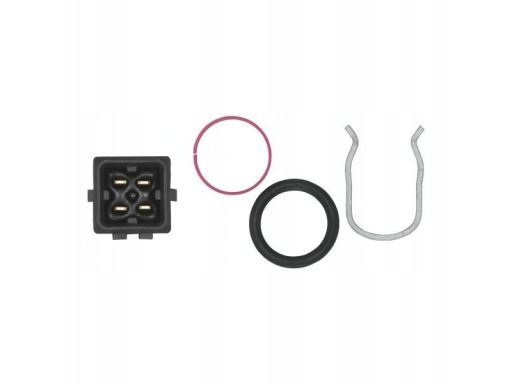 Czujnik Temperatury Płynu Chłodzącego 6Pt 013 113-261