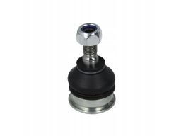 Sworzeń Wahacza Tc2434