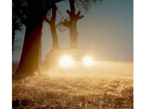 Reflektor Świateł Przednich 712501001129