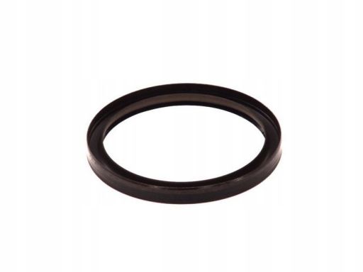 Uszczelniacz Wału Korbowego 20029606B