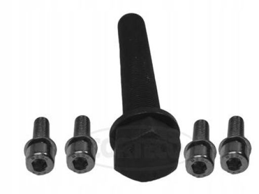 Zestaw Śrub Koła Pasowego Wału Korbowego 80001249