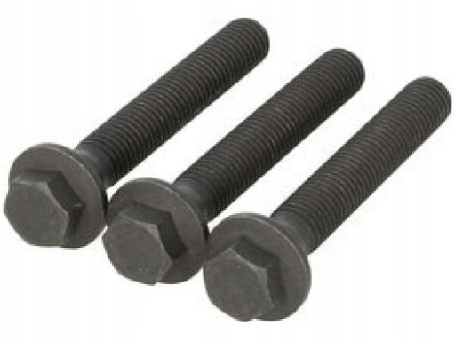 Zestaw Śrub Koła Pasowego Wału Korbowego 80004867