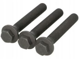 Zestaw Śrub Koła Pasowego Wału Korbowego 80004867