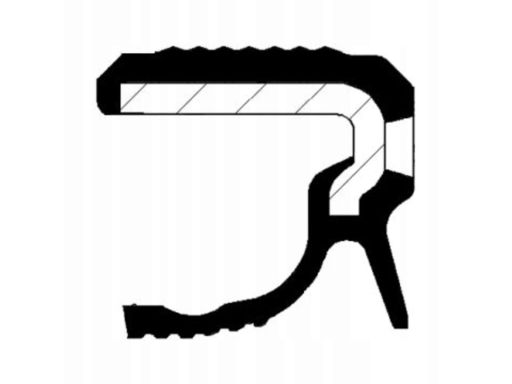 Uszczelniacz Wału Korbowego 20036307B