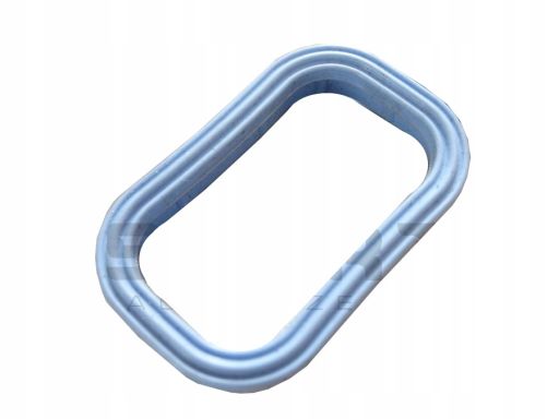 Uszczelka Kolektora Dolotowego 027.150