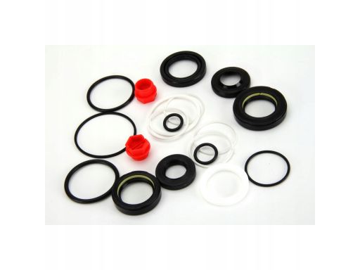 Zestaw Uszczelek Przekładni Kierowniczej 15599889