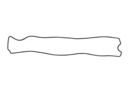 Uszczelka Pokrywy Zaworów 101324 Zach