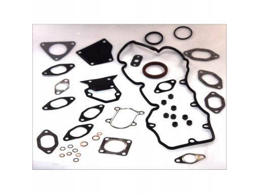 Zestaw Uszczelek Głowicy Cylindra 198.900