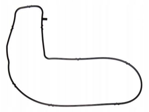 Uszczelka Pompy Cieczy Chłodzącej 313.130