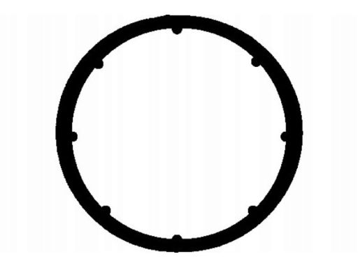 Uszczelka Rury Kolektora Dolotowego 375.460