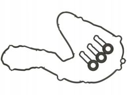 Zestaw Uszczelek Pokrywy Zaworów 449.650