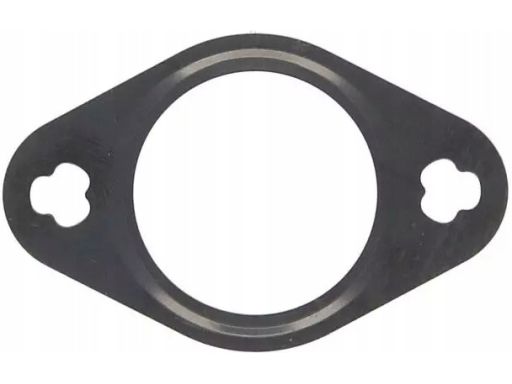 Uszczelka Skrzyni Korbowej 387.520