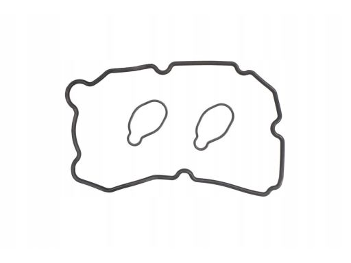 Zestaw Uszczelek Pokrywy Zaworów 482.450