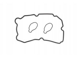 Zestaw Uszczelek Pokrywy Zaworów 482.450