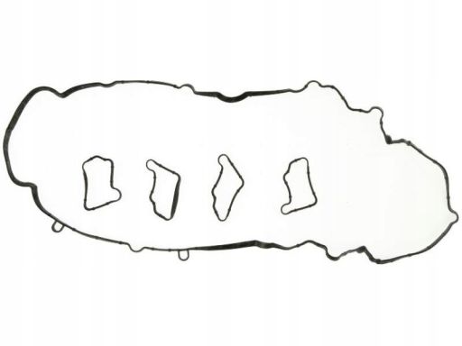 Zestaw Uszczelek Pokrywy Zaworów 428.490