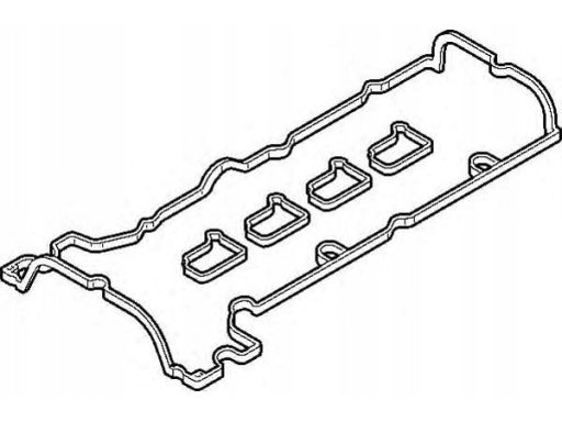 Zestaw Uszczelek Pokrywy Zaworów 428.490