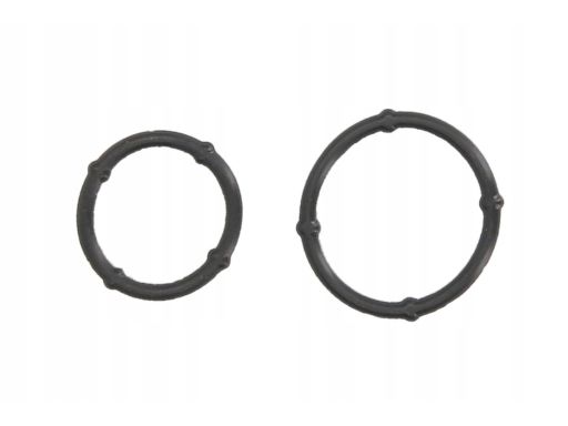 Uszczelka Pompy Oleju 487.830