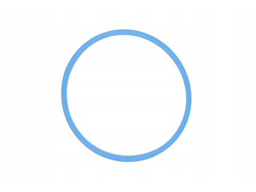 Uszczelka Kolektora Dolotowego 520.850