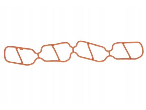 Uszczelka Kolektora Dolotowego 577.260