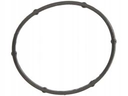 Uszczelnienie Zaworu Egr 642.820