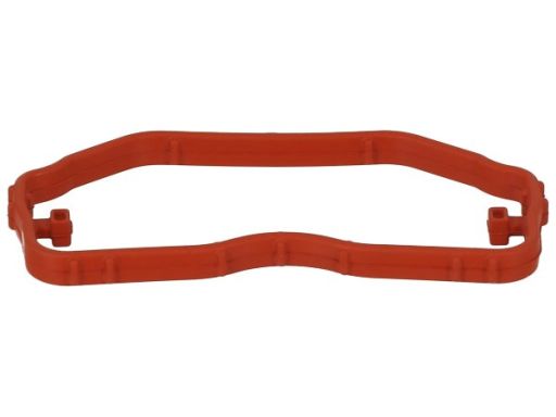 Uszczelka Kolektora Dolotowego 696.180