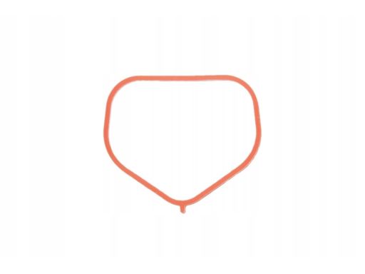 Uszczelka Kolektora Dolotowego 701.640