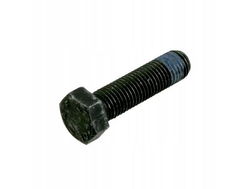 Śruba Zacisku Hamulcowego 05153