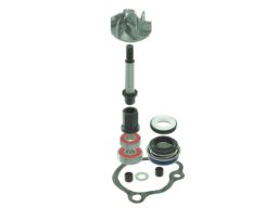 Zestaw Naprawczy Pompy Cieczy Chłodzącej 12528