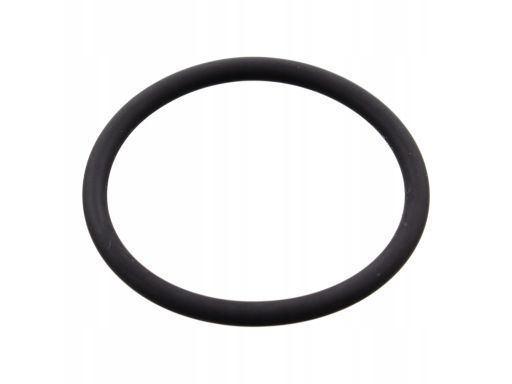 Uszczelnienie Kołnierza Przewodu Płynu C 100078