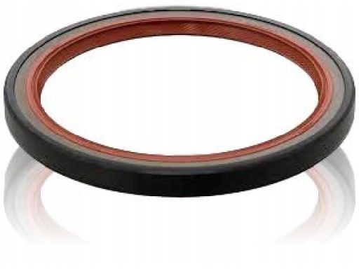 Uszczelniacz Wału Korbowego 315.494