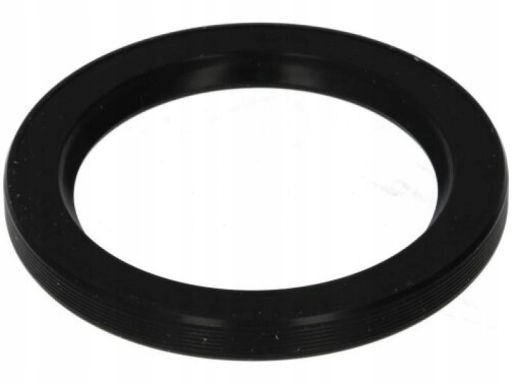 Uszczelniacz Wału Korbowego 065.490