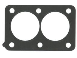 Uszczelnienie Zaworu Egr 008.790