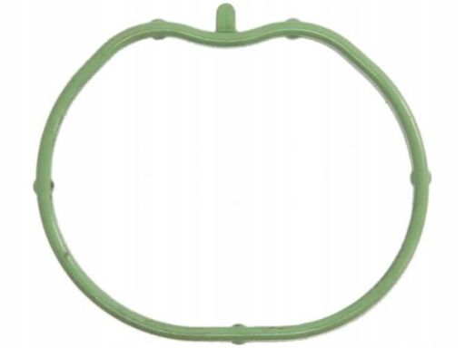 Uszczelka Kolektora Dolotowego 025.290