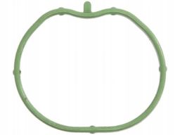 Uszczelka Kolektora Dolotowego 025.290