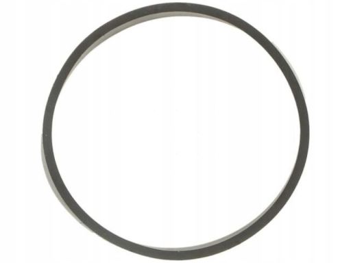 Uszczelka Rury Kolektora Dolotowego 130.420