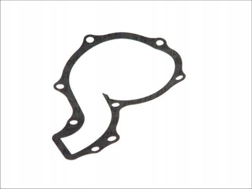 Uszczelka Pompy Cieczy Chłodzącej 202.835