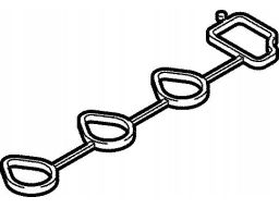 Uszczelka Kolektora Dolotowego 166.210