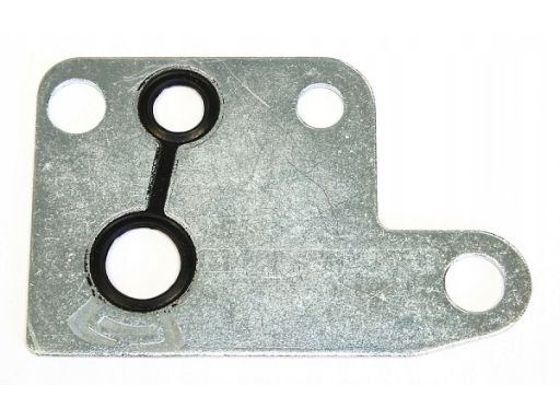 Uszczelka Pompy Podciśnieniowej 251.080