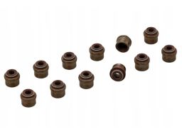 Zestaw Uszczelniaczy Trzonka Zaworów 168.420