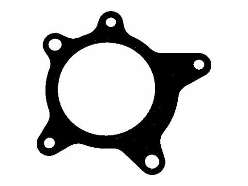 Uszczelka Pompy Cieczy Chłodzącej 316.180