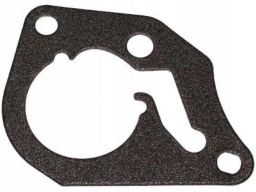 Uszczelka Pompy Podciśnieniowej 331.831